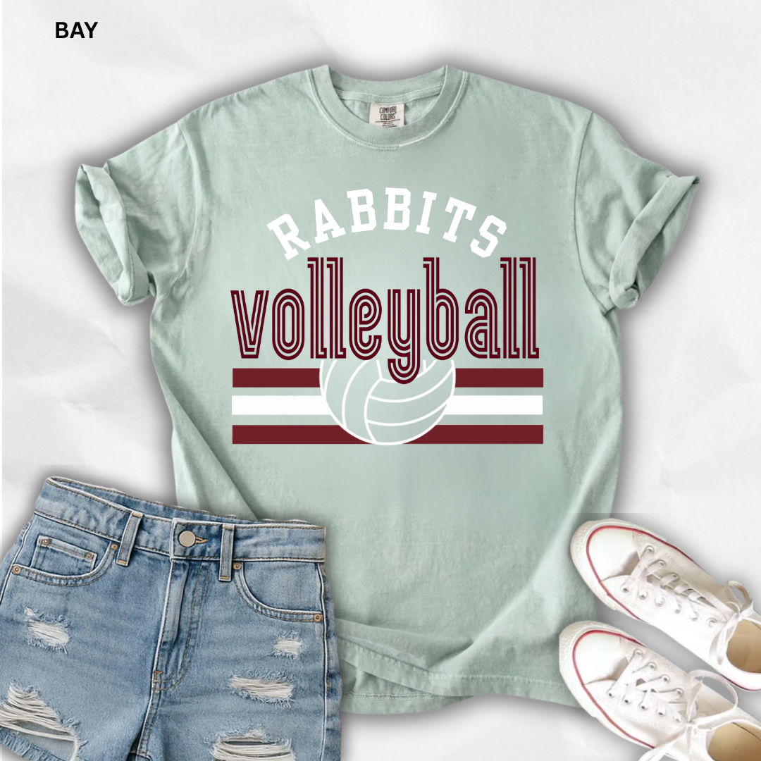 VOLLEYBALL MASCOT- COMFORT COLOLS (CUSTOMIZABLE)