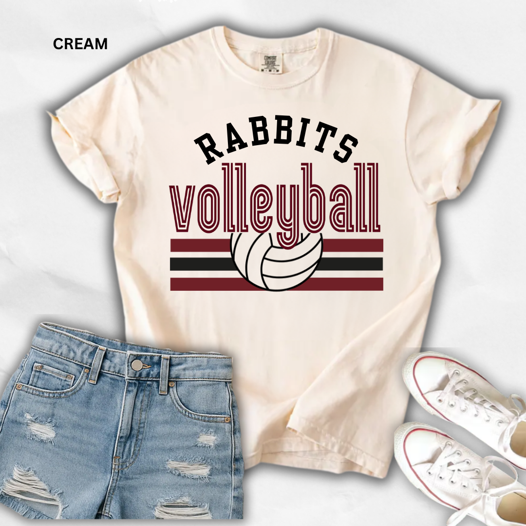 VOLLEYBALL MASCOT- COMFORT COLOLS (CUSTOMIZABLE)