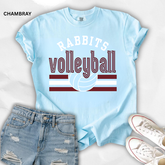 VOLLEYBALL MASCOT- COMFORT COLOLS (CUSTOMIZABLE)